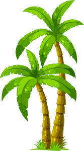 Royal Star Palmtree